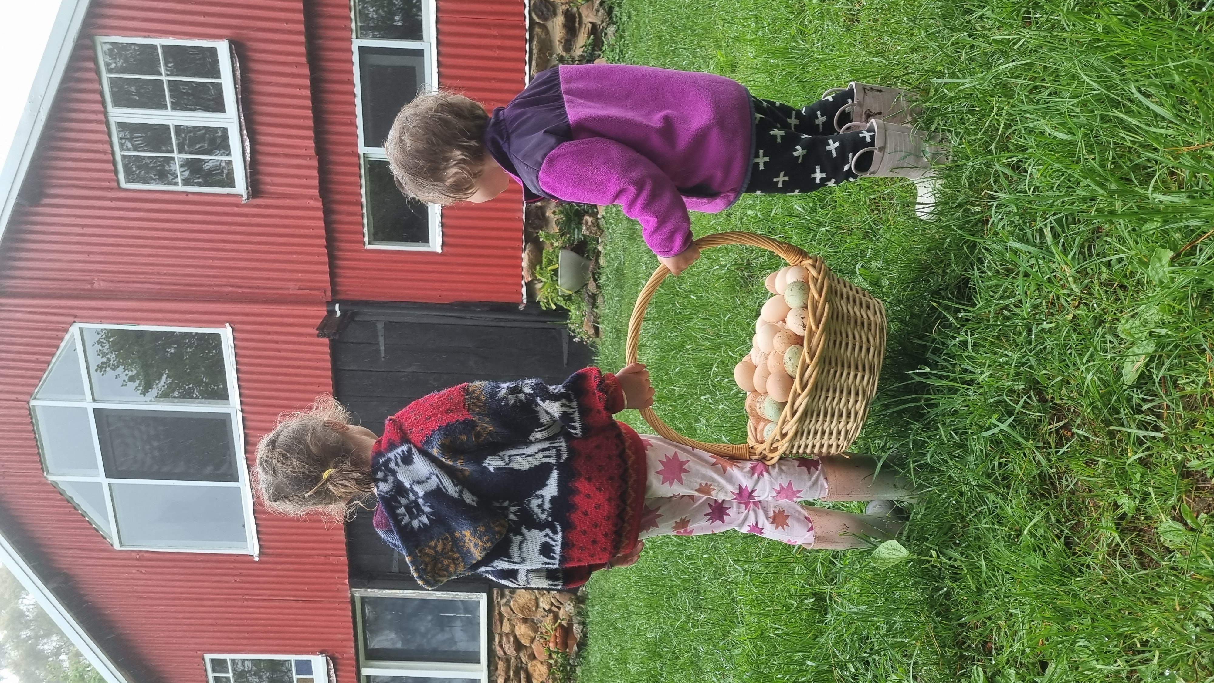 Egg Collectors Oct 24