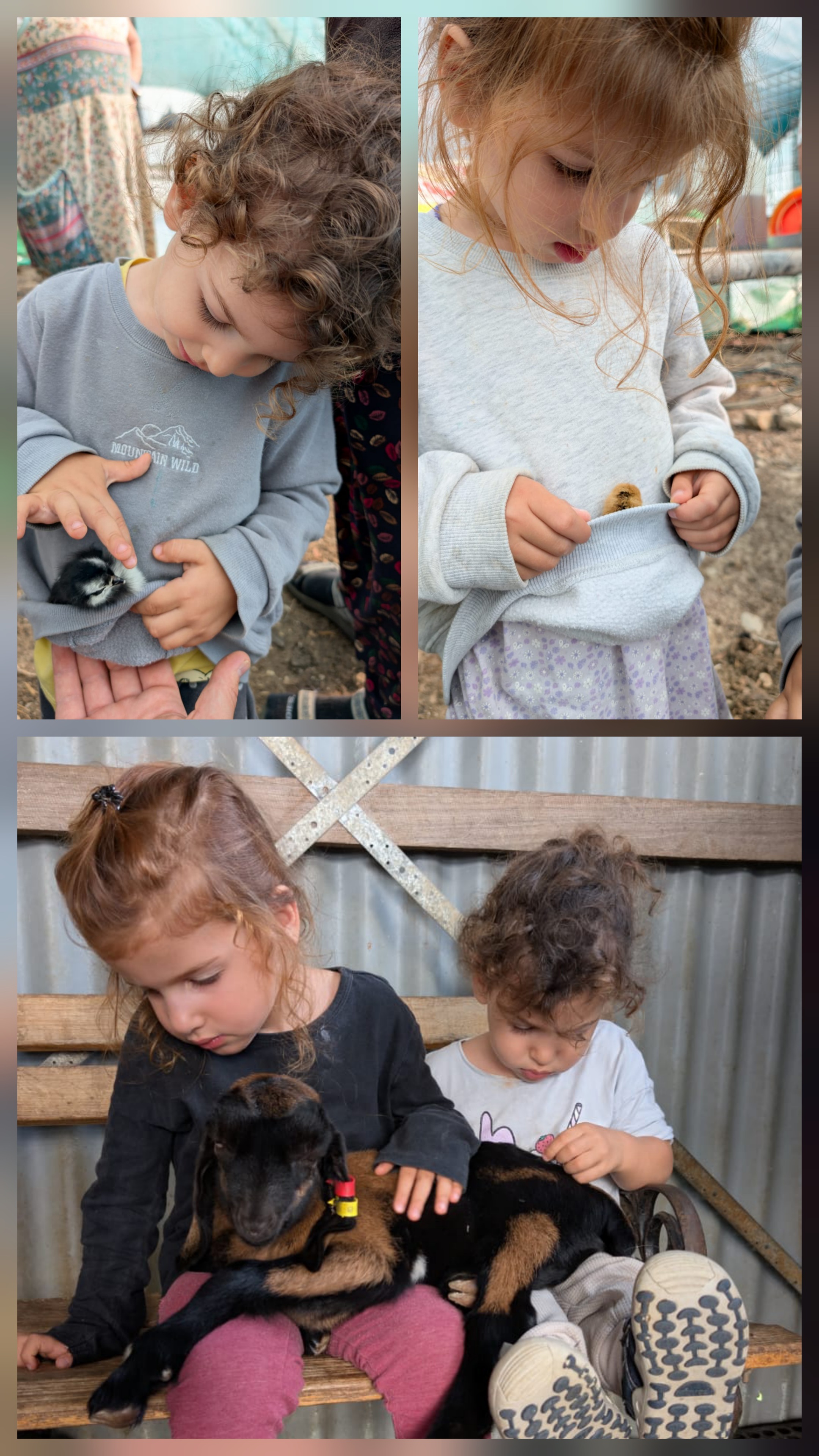 Kids with Kids and chicks